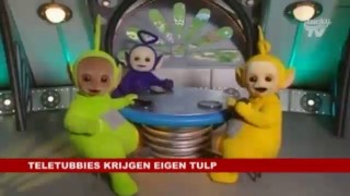 Teletubbies Krijgen Tulp