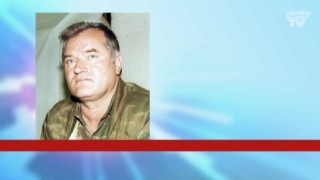 Mladic Look-a-Like