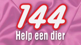 144 Help een dier